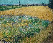 unknow artist Vincent van Gogh Wheatfield oil painting reproduction